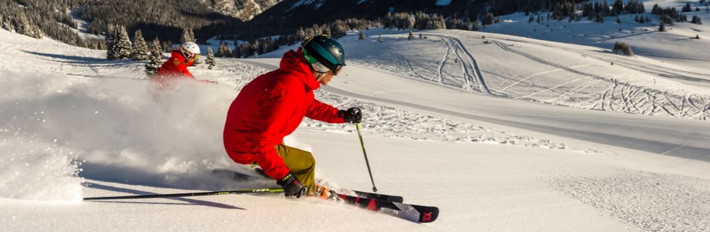 Skiurlaub, Skireisen, Gruppenreisen, Ski alpin, Freeride, Kinderbetreuung, Skikurs, Alpen, Rocky Mou