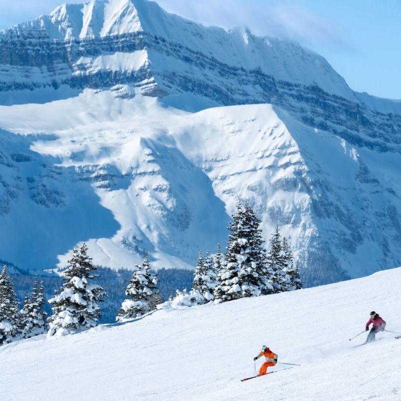 Kanada, canada, snowboard, skisafari, gruppenreisen, skireisen, preiswert, günstig, usa